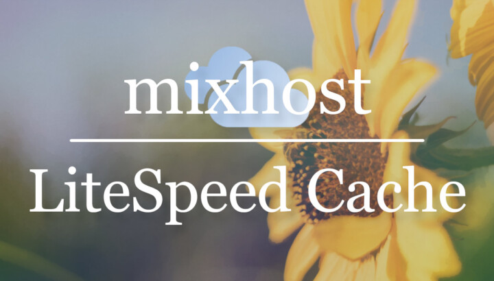 mixhostを使うならLiteSpeed Cacheで超高速にしよう!